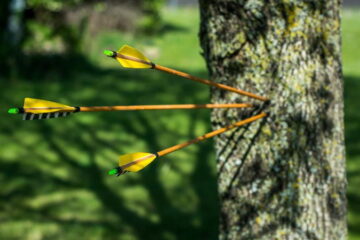 How Long Should My Arrows Be? The Facts You Need to be Aware Of