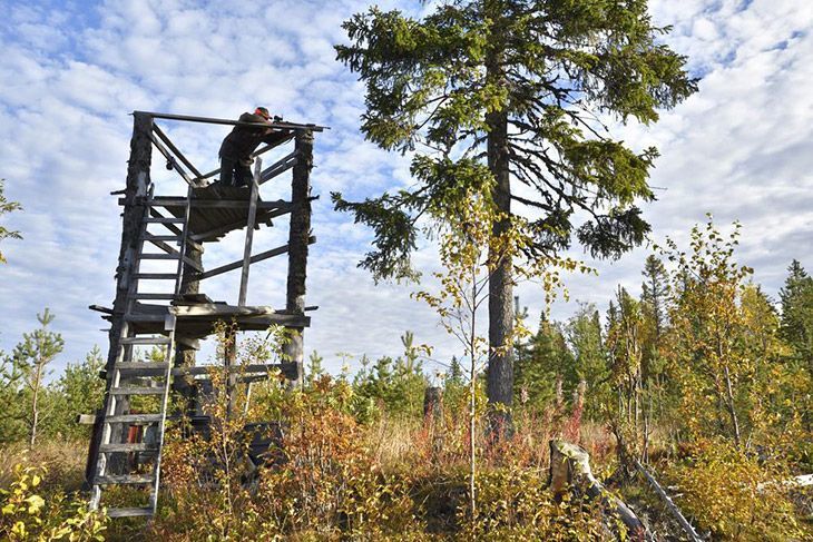 Hunting on Elevated Stands