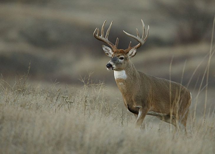 Southern Wisconsin