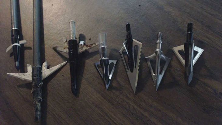 Choosing the Best Broadhead for Elk