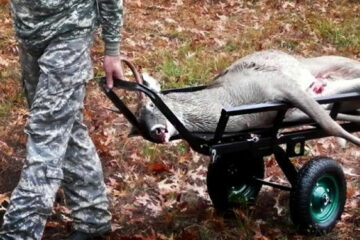 The Ultimate Purchasing Guide to the Best Deer Cart for Better Hunting Now