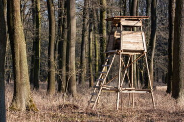 The 4 Best Elevator Brackets for Deer Stands to Add Support and Height!