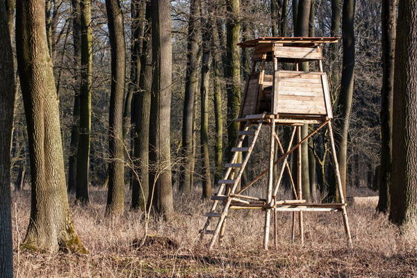 best elevator brackets for deer stands