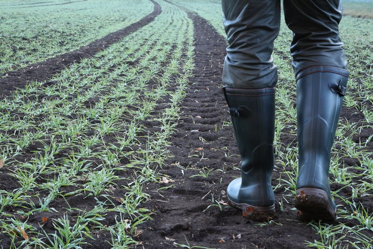 best no till drill for food plots