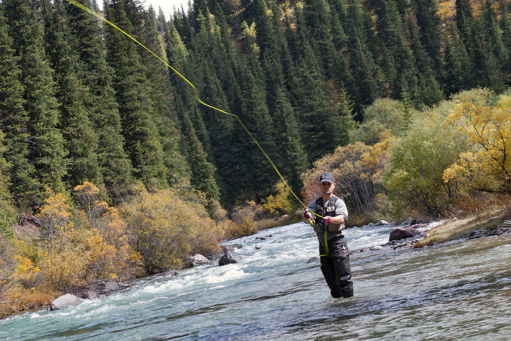 Fly fishing angler makes cast while standing in water