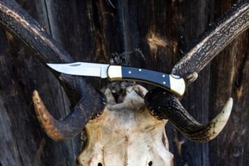 Buck 110 Review – an Essential Folding Knife for Your Hunting Arsenal