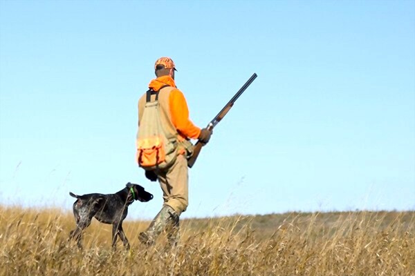 When Does Pheasant Season Open In South Dakota