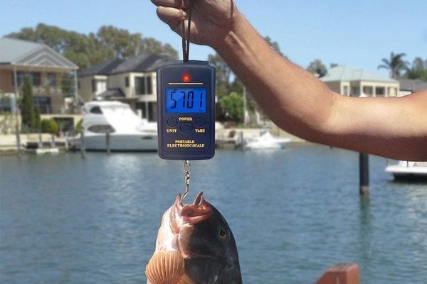 How to Weigh a Fish with a Digital Scale