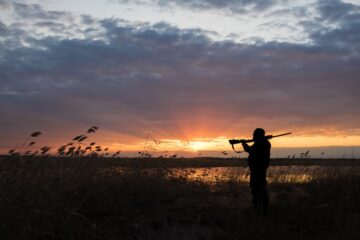 Tools You Need When Hunting Ducks