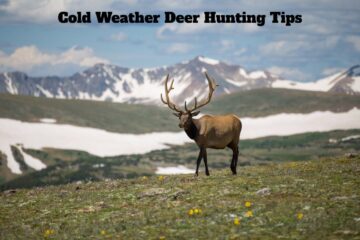 Top Cold Weather Deer Hunting Tips