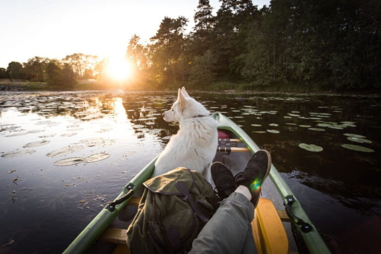 Duck Hunting from a Kayak Tips to Help You Get the Most Out of Your Trip
