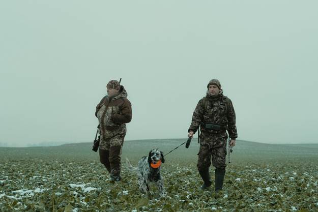 6 Things to Consider Before Taking Your Dog Hunting