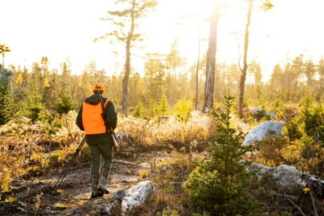 Big Game Hunting in Argentina