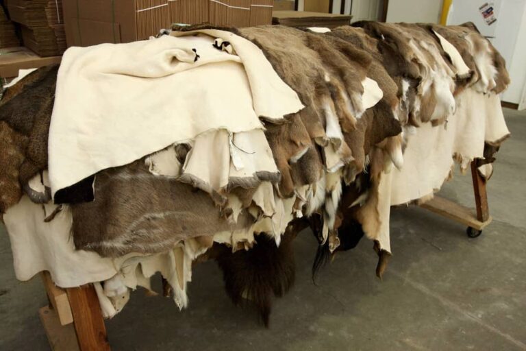 How To Tan A Deer Hide For Mounting