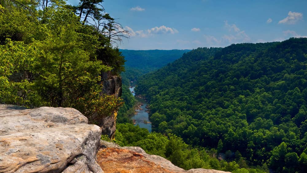 best-public-land-turkey-hunting-in-tennessee-6