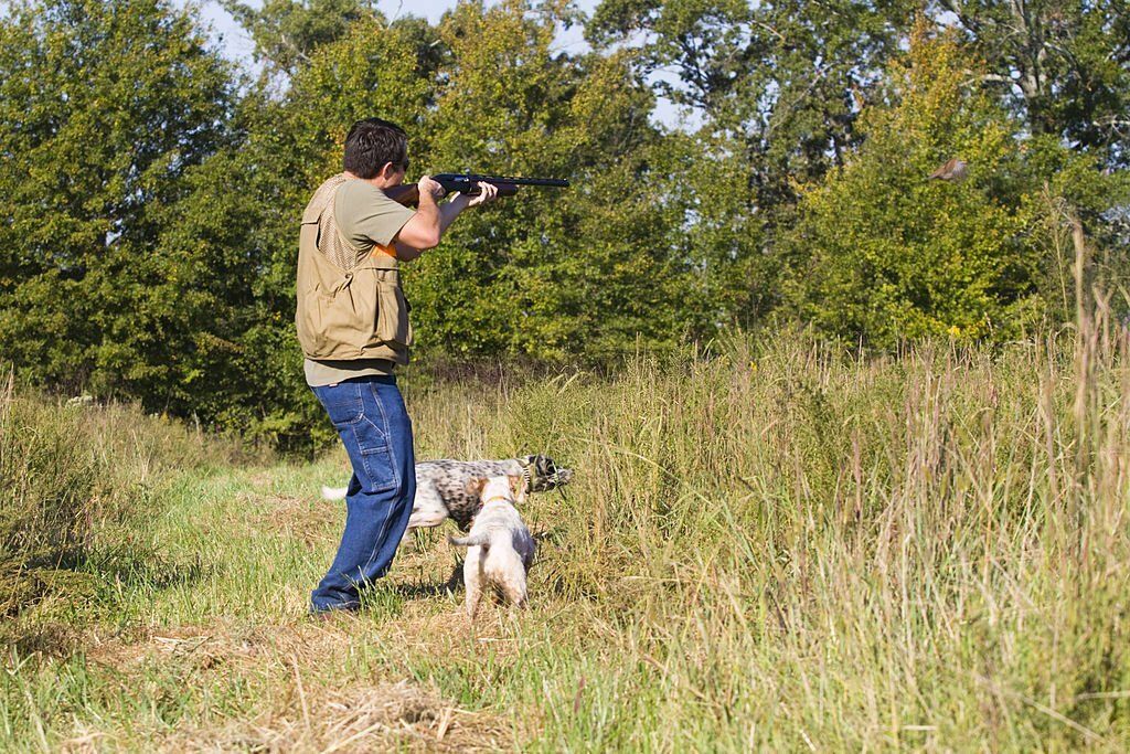 The Ultimate Guide to Hunting Seasons in Alabama