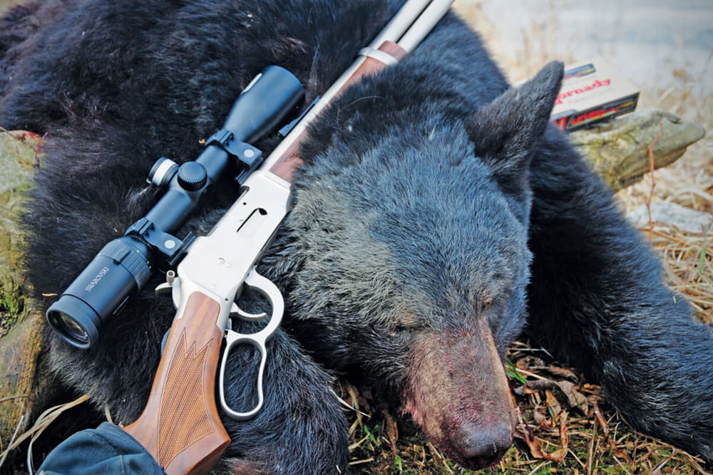 what states can you hunt black bears