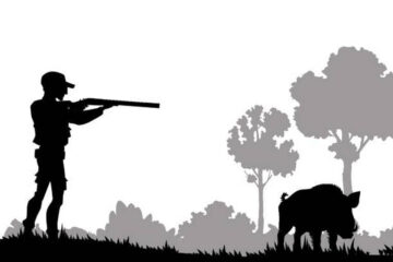 Common Mistakes in Hog Hunting and How to Avoid Them