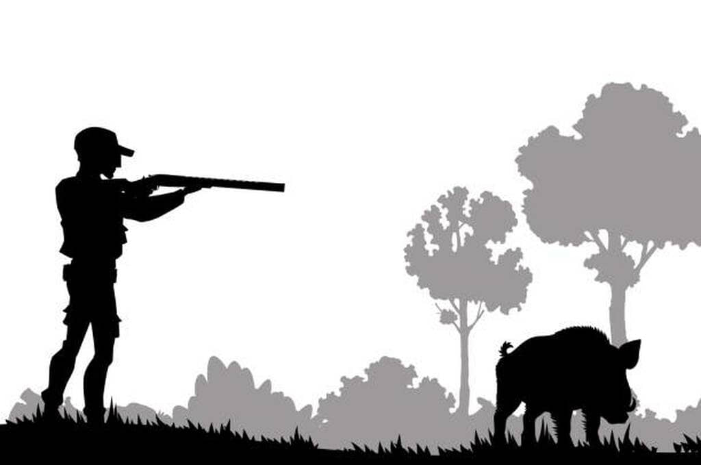 common mistakes in hog hunting