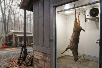 How to Build a Walk-In Cooler for Deer (DIY Guide)