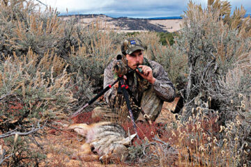 How to Use a Coyote Howler: Step-by-Step Guide