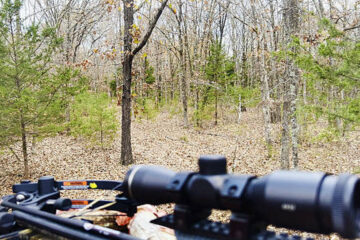 Complete Crossbow Deer Hunting Guide for Beginners