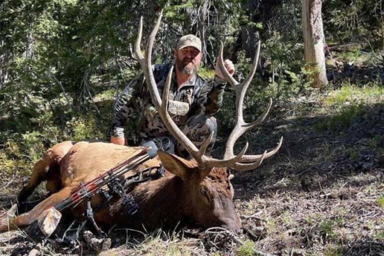 How To Hunt Elk