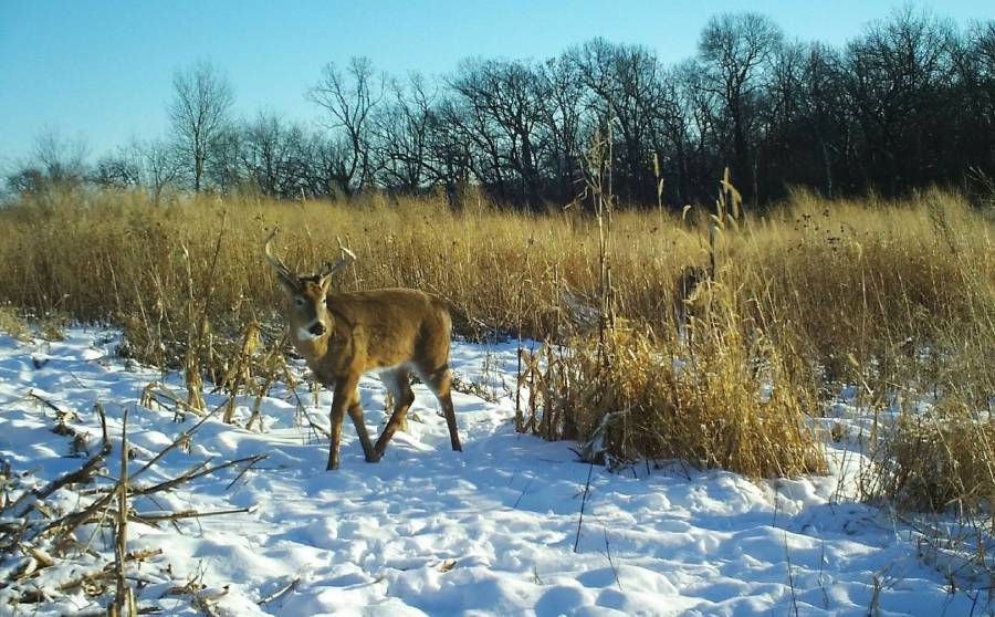 best habitat projects for small hunting properties