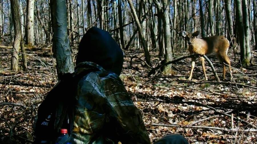 do deer recognize individual humans